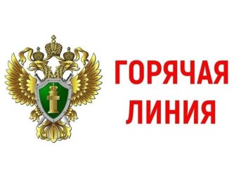 «горячая линия» 